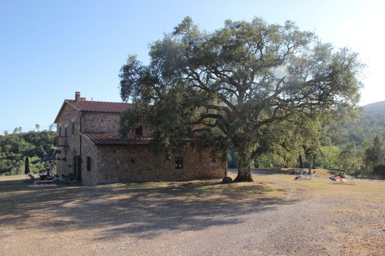 Willa Agriturismo Poggio Macinaio Roccastrada Zewnętrze zdjęcie