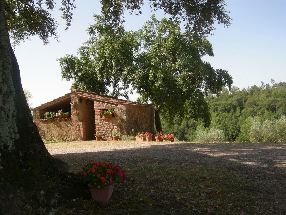 Willa Agriturismo Poggio Macinaio Roccastrada Zewnętrze zdjęcie