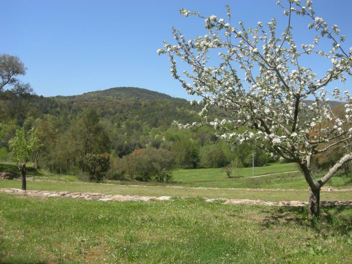 Willa Agriturismo Poggio Macinaio Roccastrada Zewnętrze zdjęcie