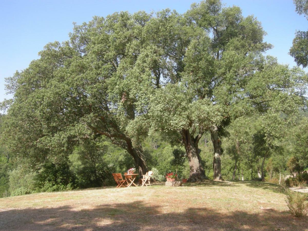 Willa Agriturismo Poggio Macinaio Roccastrada Zewnętrze zdjęcie